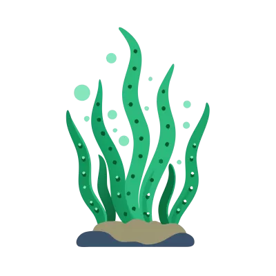 Imagen PNG para descargar